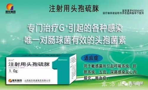 第77届全国药品交易会 上海 处方药产品招商手册 2017版